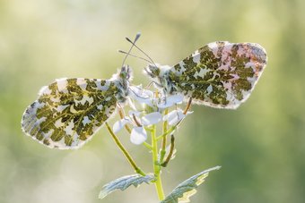14. Landesfotoschau Thüringens 14. Landesfotoschau Thüringens