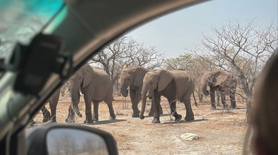 Impressionen eines Auslands-Semesters in Namibia