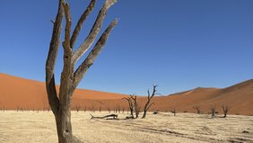 Impressionen eines Auslands-Semesters in Namibia