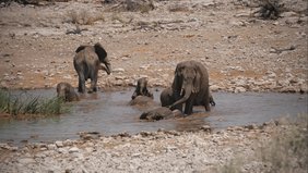 Impressionen eines Auslands-Semesters in Namibia