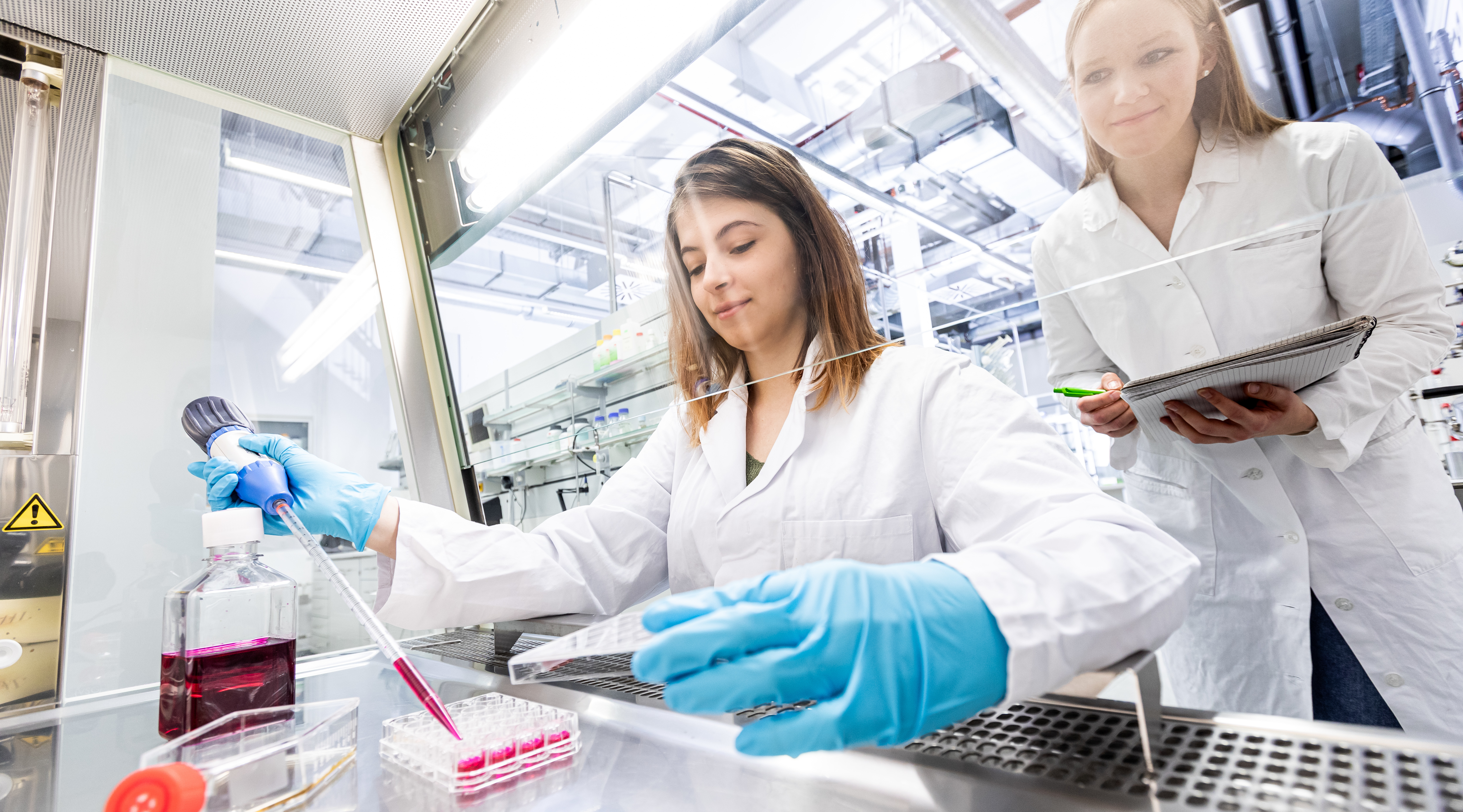 Master Pharma-Biotechnologie Master Pharma-Biotechnologie